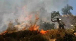 الاحتلال يتسبب في حرائق بمناطق رعوية في الأغوار الشمالية